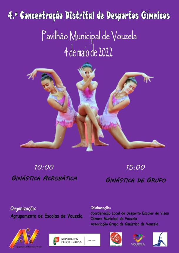 Cartaz 4.ª Concentração DG